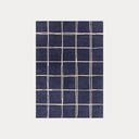 Albany Grid