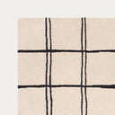 Albany Grid