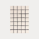 Albany Grid