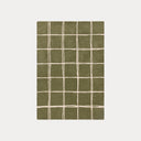 Albany Grid
