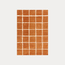 Albany Grid