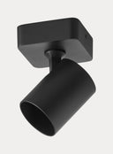 Got Ceiling light- single spot pendant