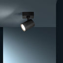 Got Ceiling light- single spot pendant